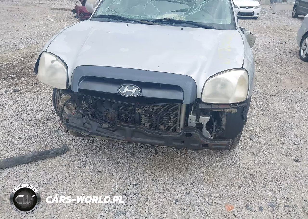 2005 Hyundai Santa Fe Gls-Lx VIN:KM8SC13E65U935953 - 6