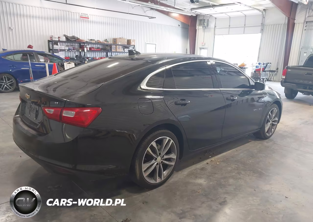 2023 Chevrolet Malibu Fwd 1Lt VIN:1G1ZD5ST1PF229612 - 4