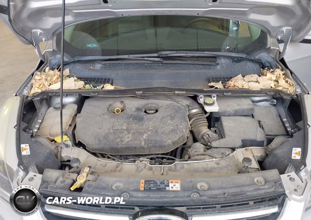 2014 Ford Escape Titanium VIN:1FMCU9J99EUC44048 - 10