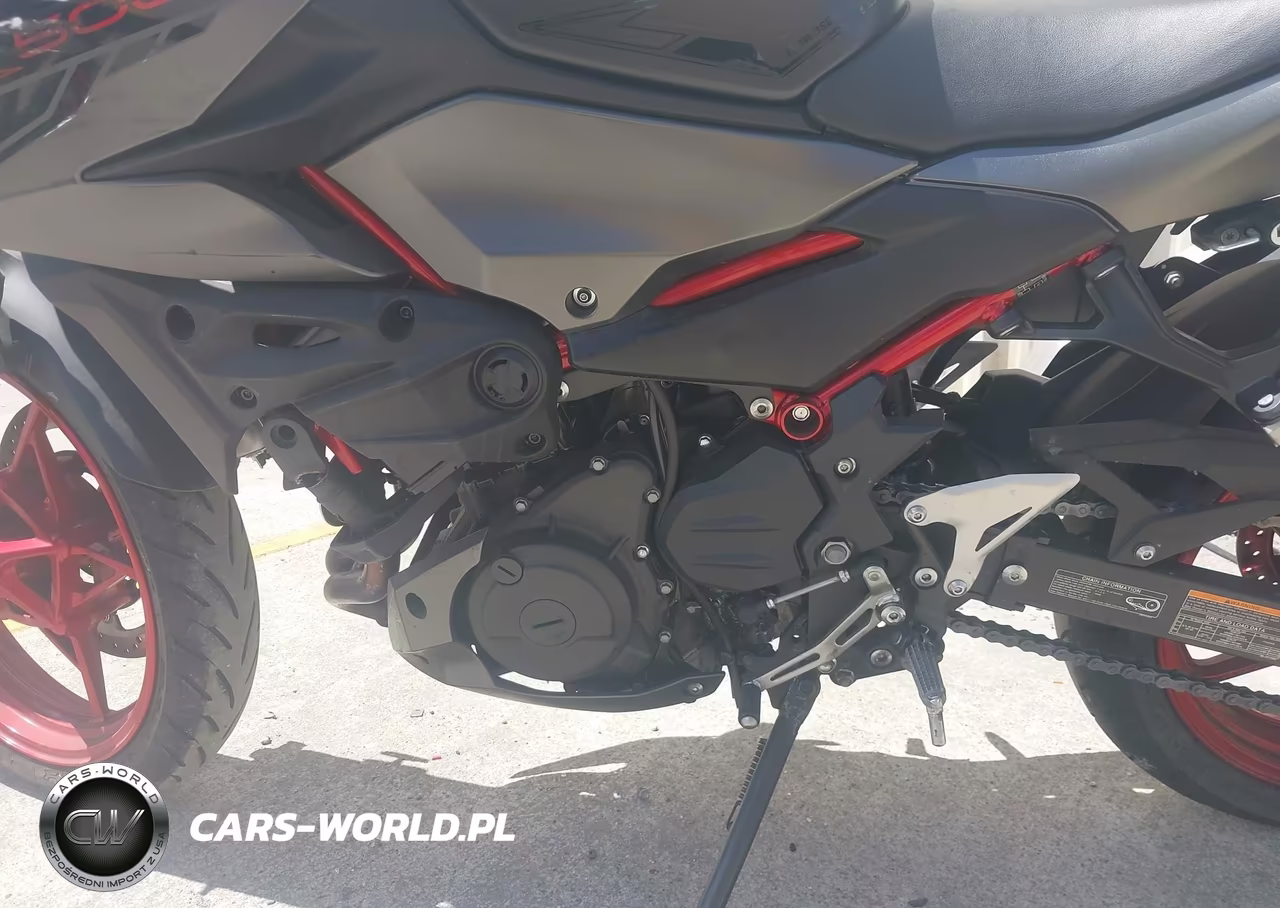 2024 Kawasaki Er500 VIN:ML5ERGF16RDA11169 - 9