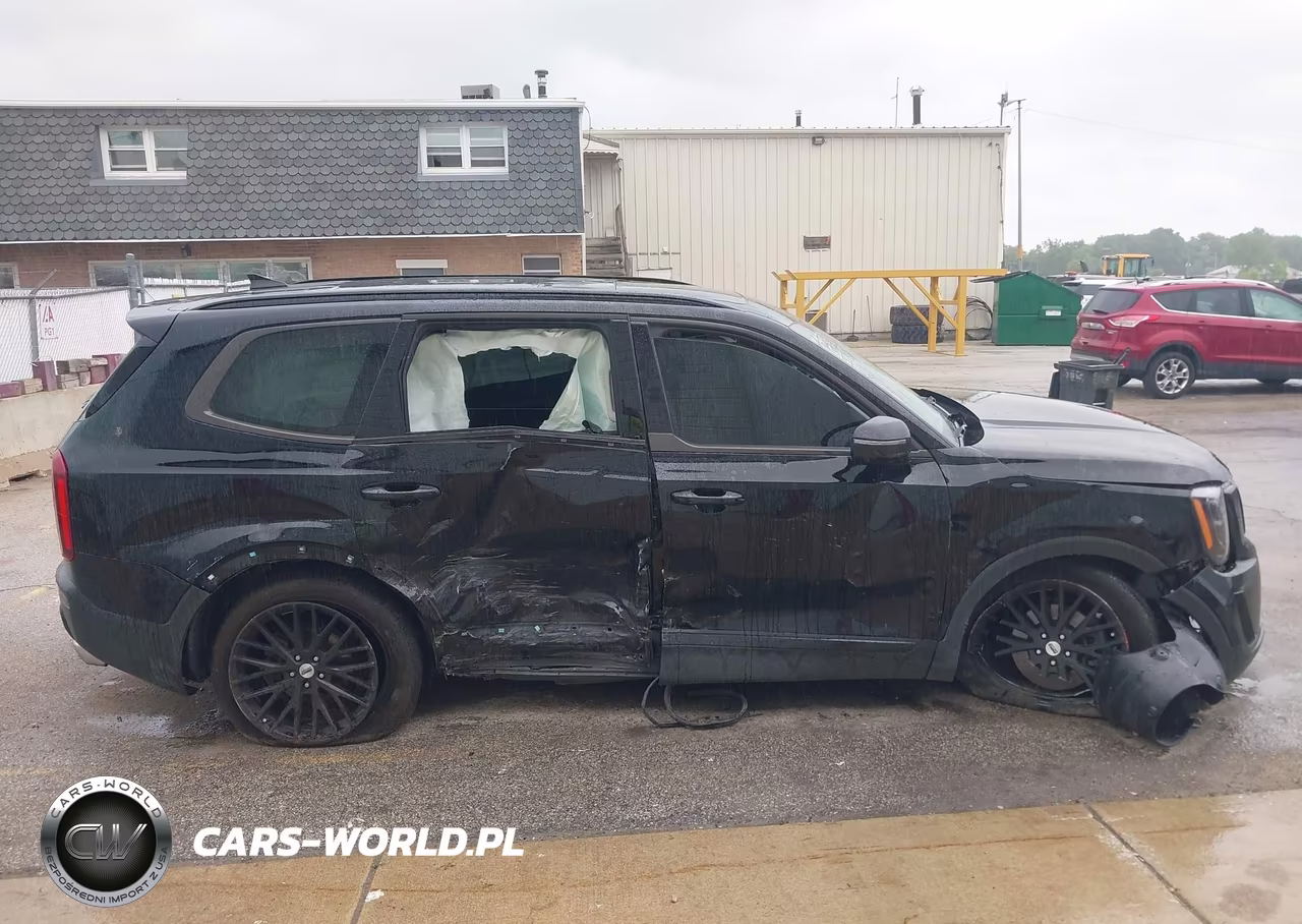 2022 Kia Telluride Sx VIN:5XYP5DHC0NG209701 - 12