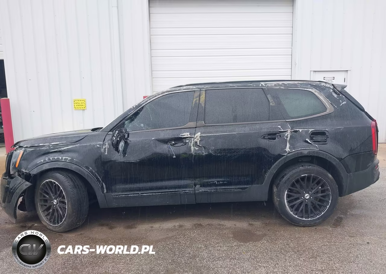 2022 Kia Telluride Sx VIN:5XYP5DHC0NG209701 - 13