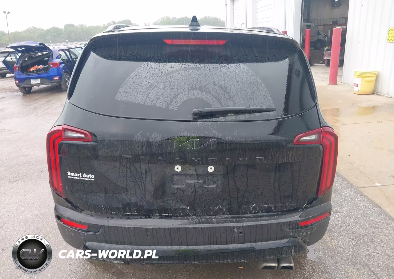 2022 Kia Telluride Sx VIN:5XYP5DHC0NG209701 - 15