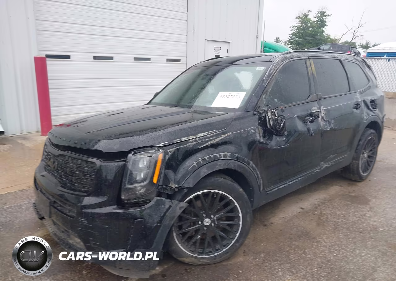 2022 Kia Telluride Sx VIN:5XYP5DHC0NG209701 - 2