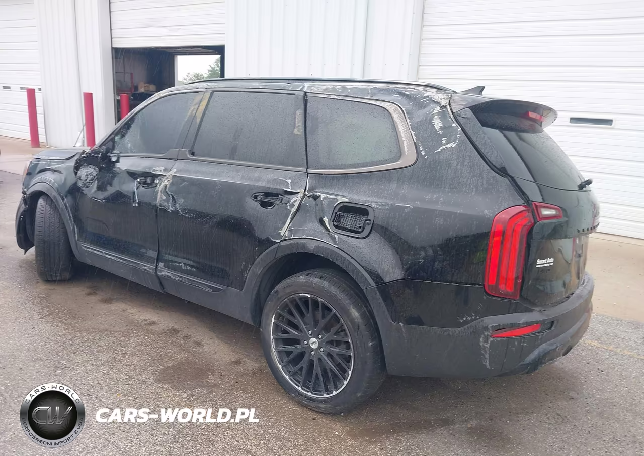 2022 Kia Telluride Sx VIN:5XYP5DHC0NG209701 - 3