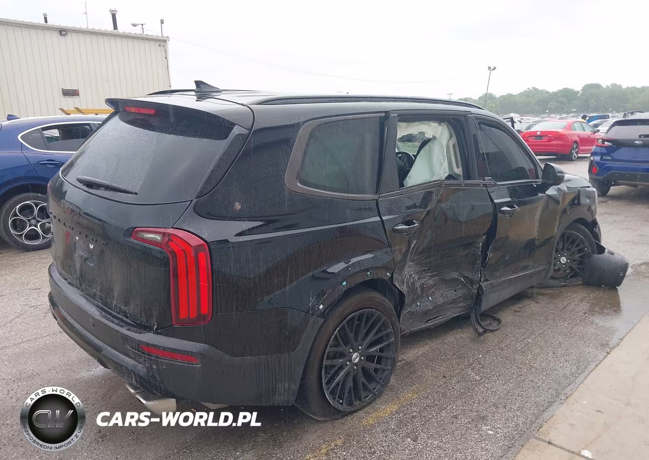 2022 Kia Telluride Sx VIN:5XYP5DHC0NG209701 - 4