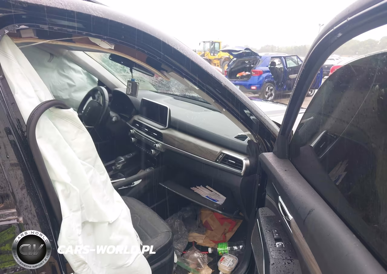2022 Kia Telluride Sx VIN:5XYP5DHC0NG209701 - 5