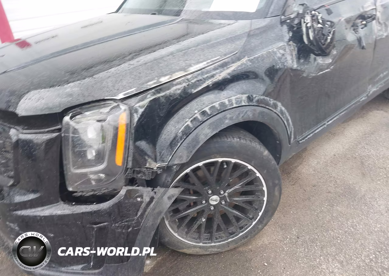 2022 Kia Telluride Sx VIN:5XYP5DHC0NG209701 - 6