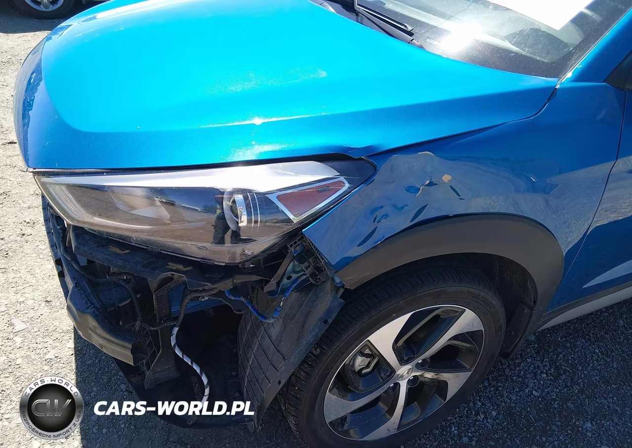 2018 Hyundai Tucson Value VIN:KM8J3CA28JU777979 - 6
