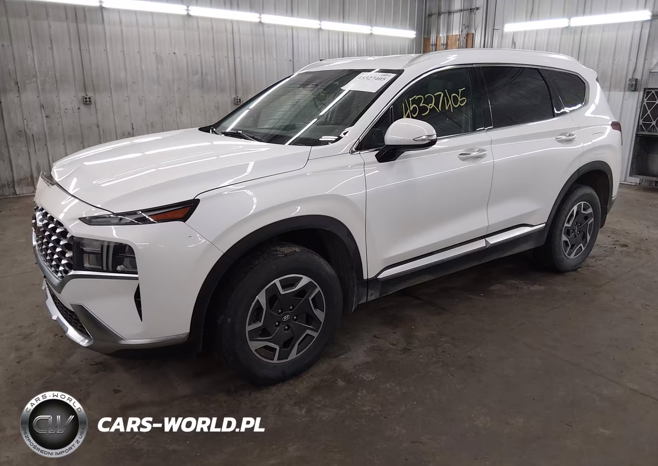 2021 Hyundai Santa Fe Hybrid Blue VIN:KM8S2DA13MU010484 - 2