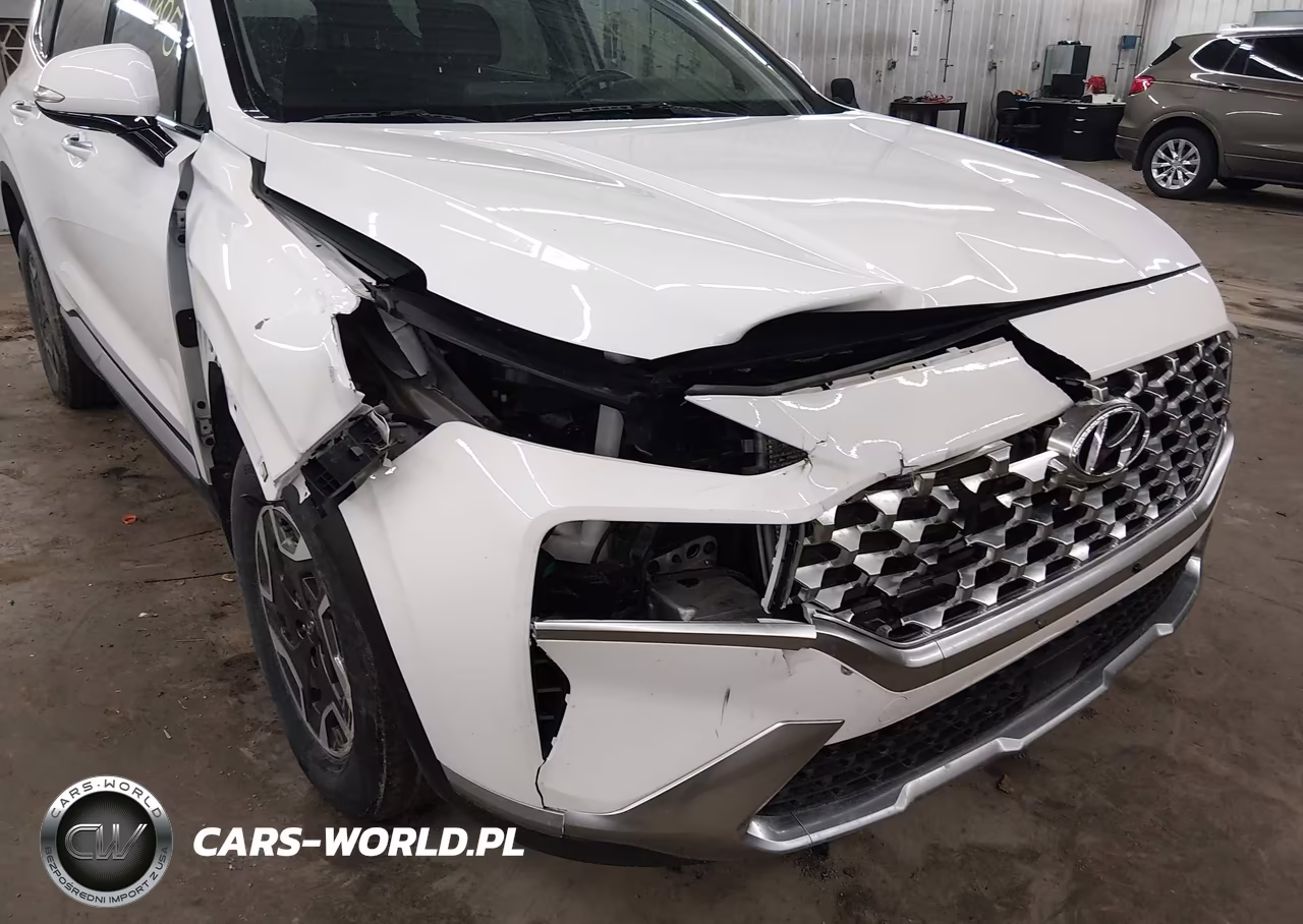 2021 Hyundai Santa Fe Hybrid Blue VIN:KM8S2DA13MU010484 - 6