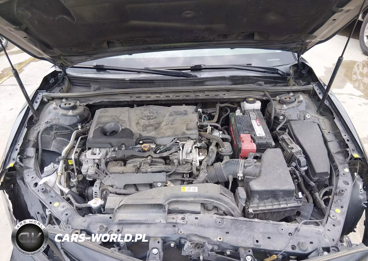 2019 Toyota Camry Se VIN:4T1B11HKXKU210288 - 10