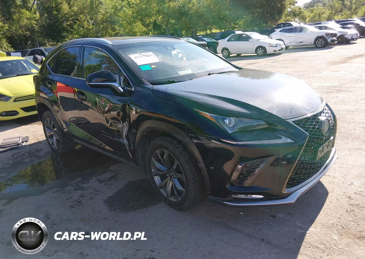 2019 Lexus Nx 300 F Sport