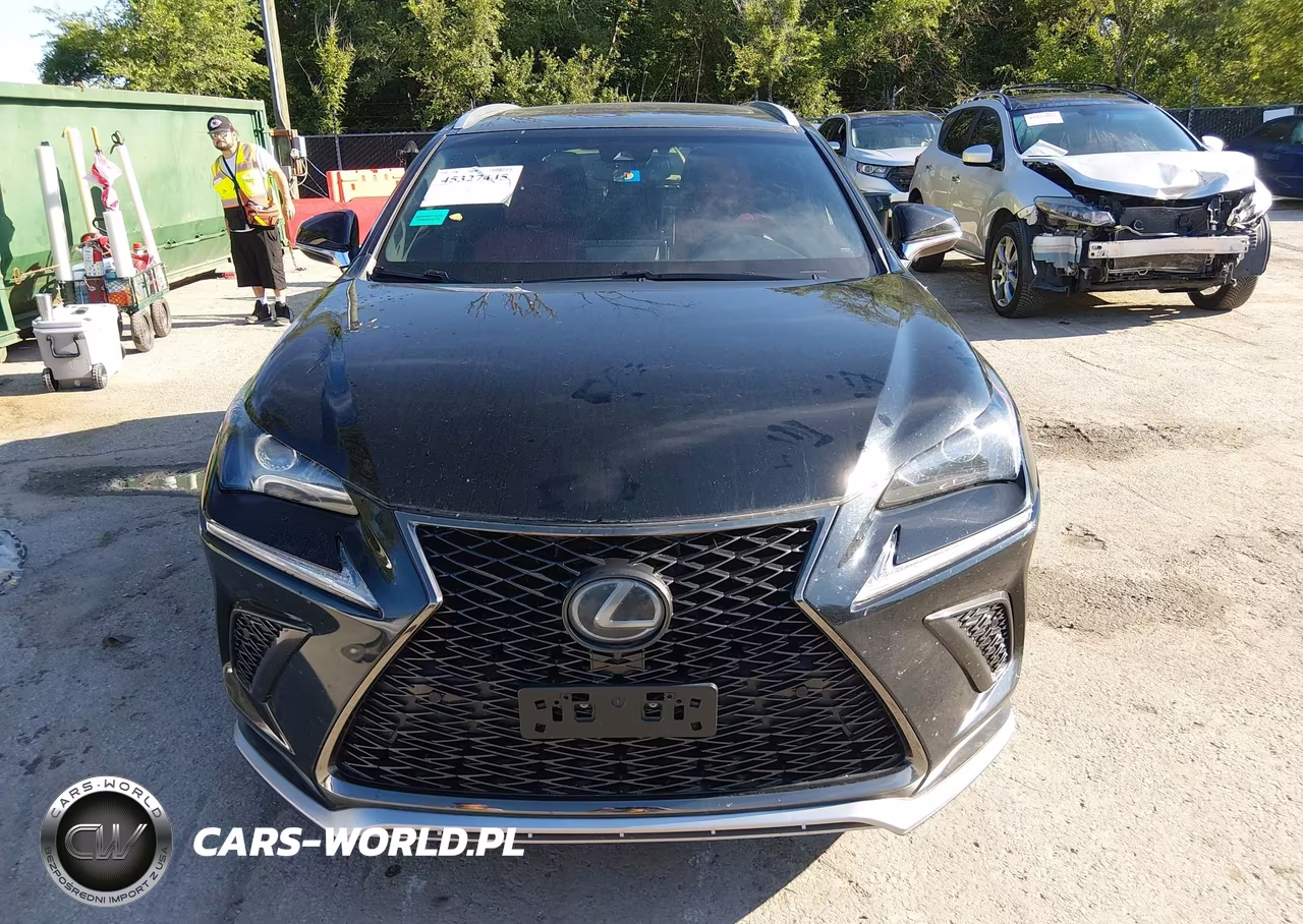 2019 Lexus Nx 300 F Sport VIN:JTJYARBZ0K2120093 - 12