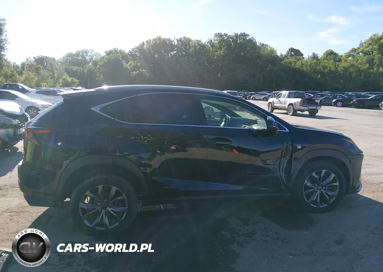 2019 Lexus Nx 300 F Sport VIN:JTJYARBZ0K2120093 - 13
