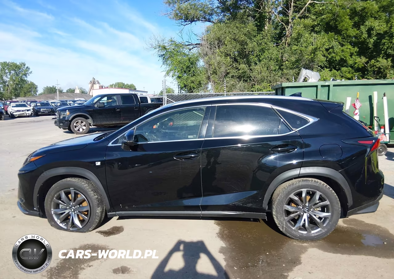 2019 Lexus Nx 300 F Sport VIN:JTJYARBZ0K2120093 - 14