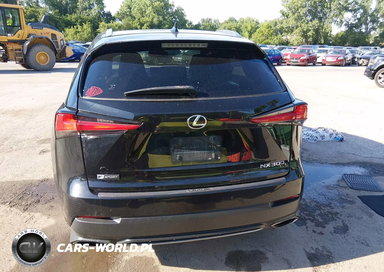 2019 Lexus Nx 300 F Sport VIN:JTJYARBZ0K2120093 - 16