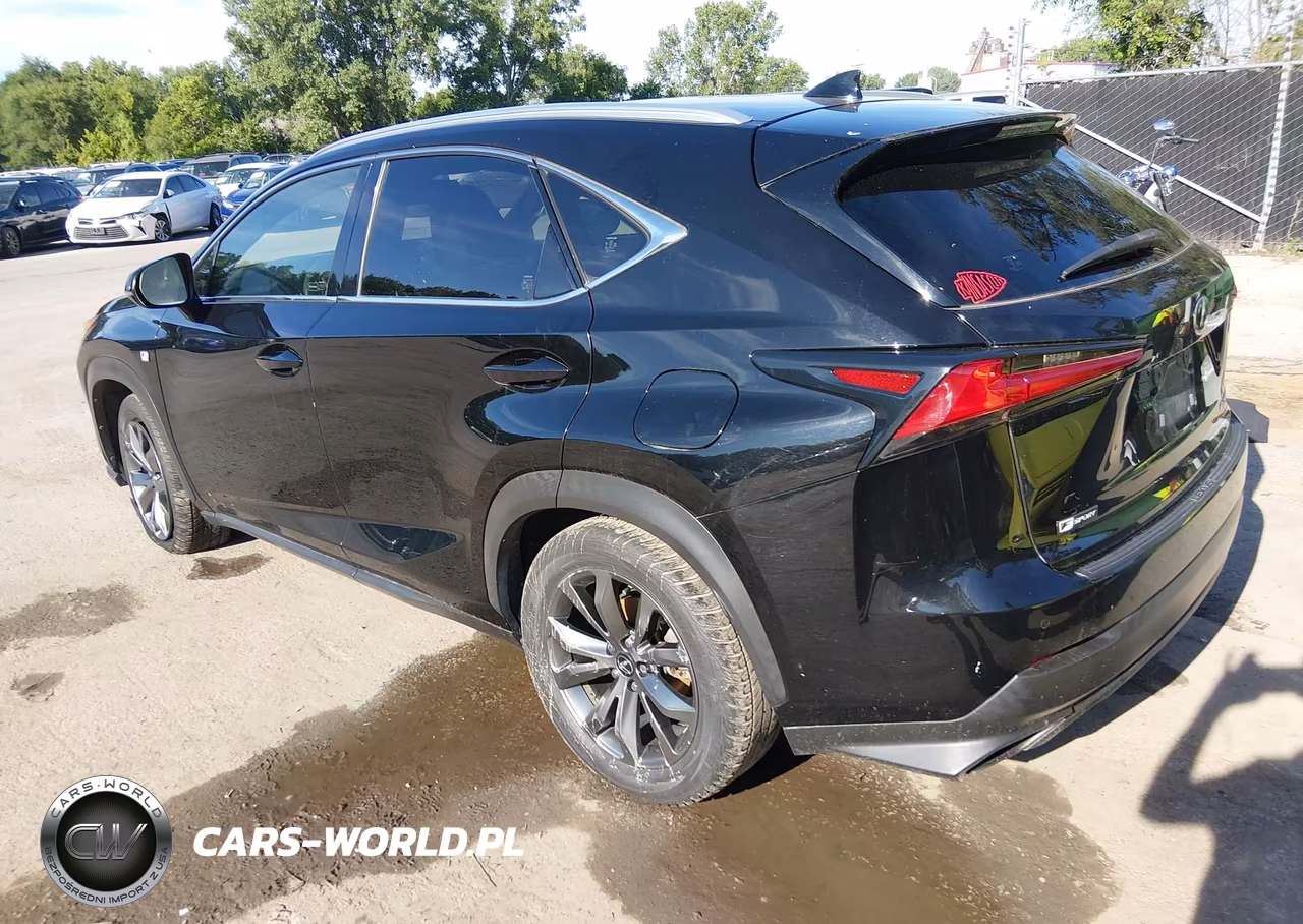 2019 Lexus Nx 300 F Sport VIN:JTJYARBZ0K2120093 - 3