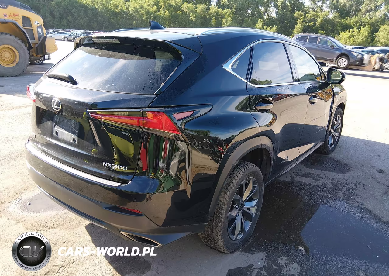 2019 Lexus Nx 300 F Sport VIN:JTJYARBZ0K2120093 - 4
