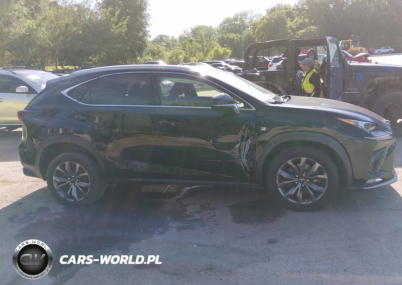 2019 Lexus Nx 300 F Sport VIN:JTJYARBZ0K2120093 - 6