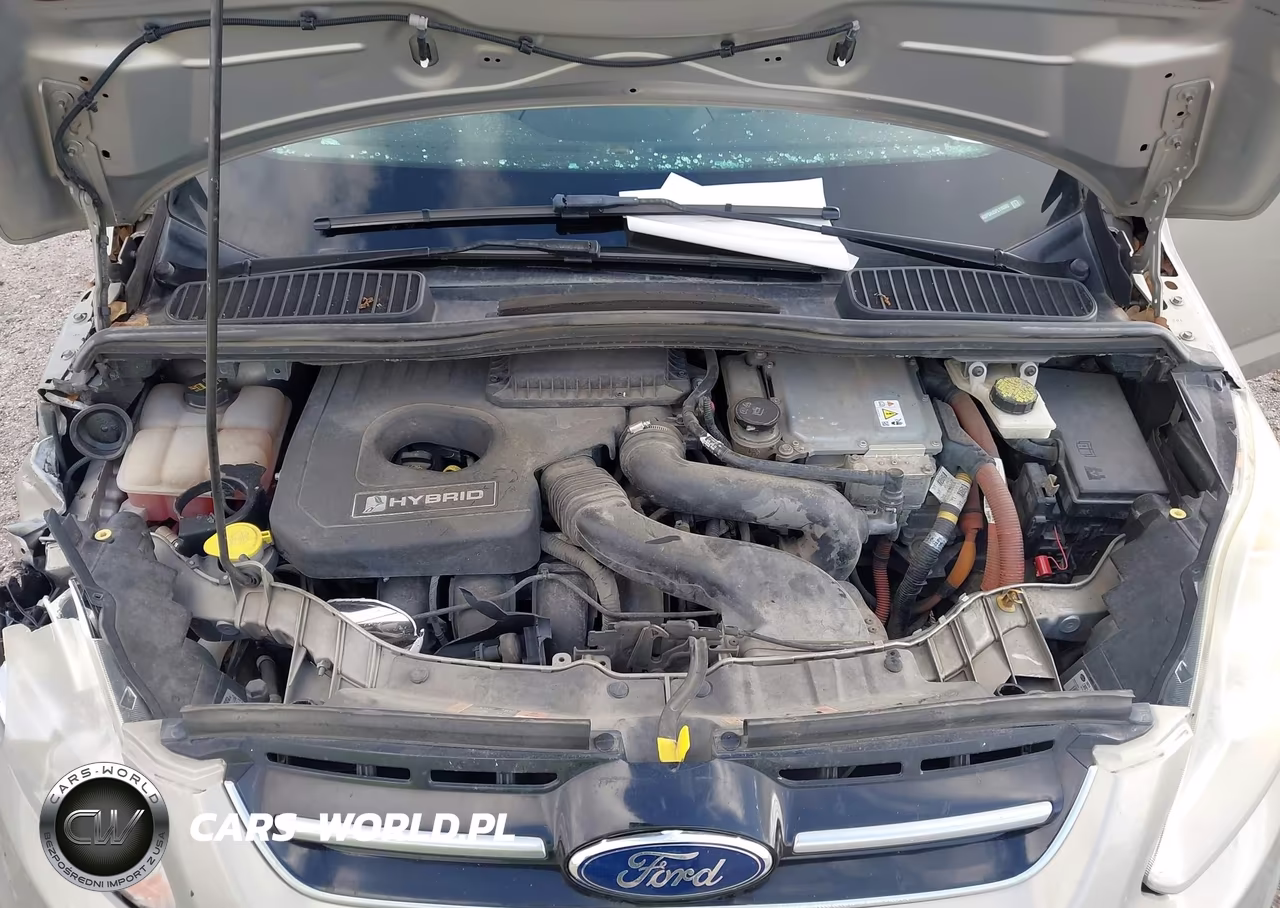 2015 Ford C-Max Hybrid Se VIN:1FADP5AU5FL118392 - 10