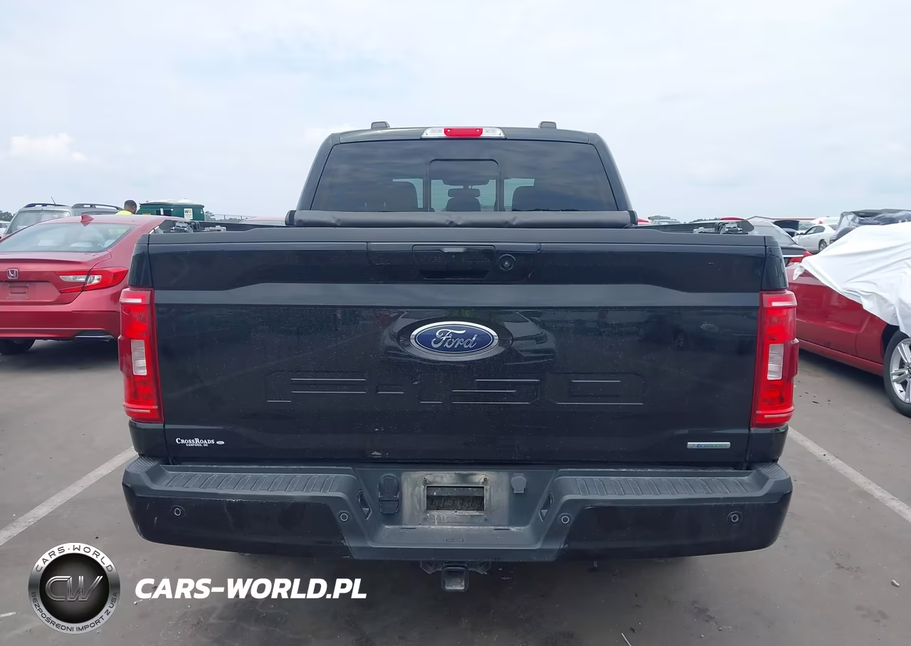 2023 Ford F-150 Xlt VIN:1FTEW1CP6PKE42329 - 16