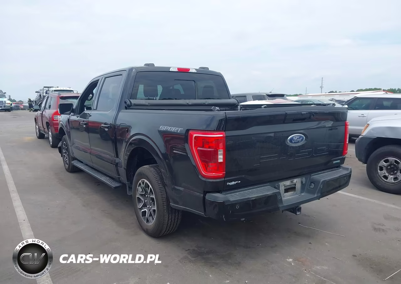 2023 Ford F-150 Xlt VIN:1FTEW1CP6PKE42329 - 3