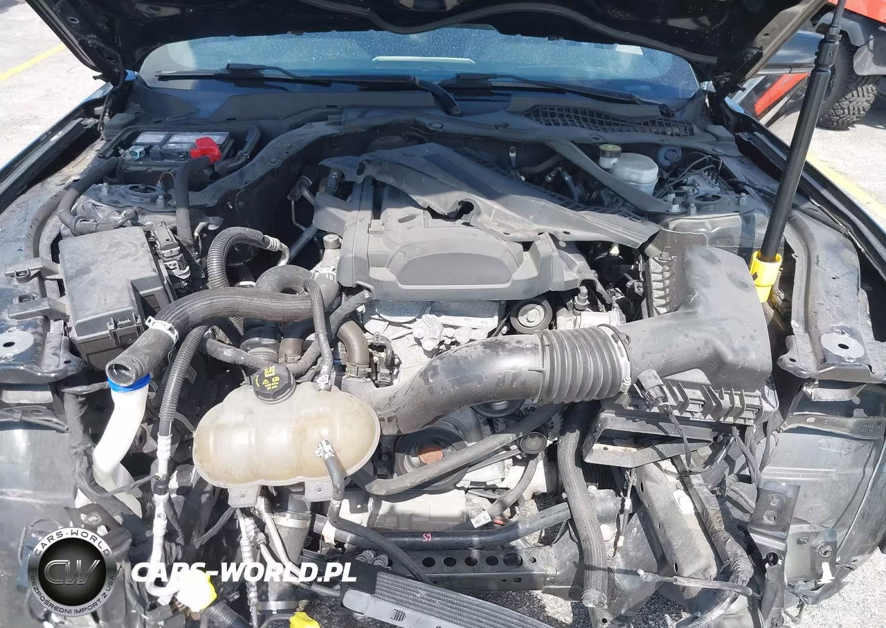 2020 Ford Mustang Ecoboost Premium VIN:1FATP8UHXL5105925 - 10