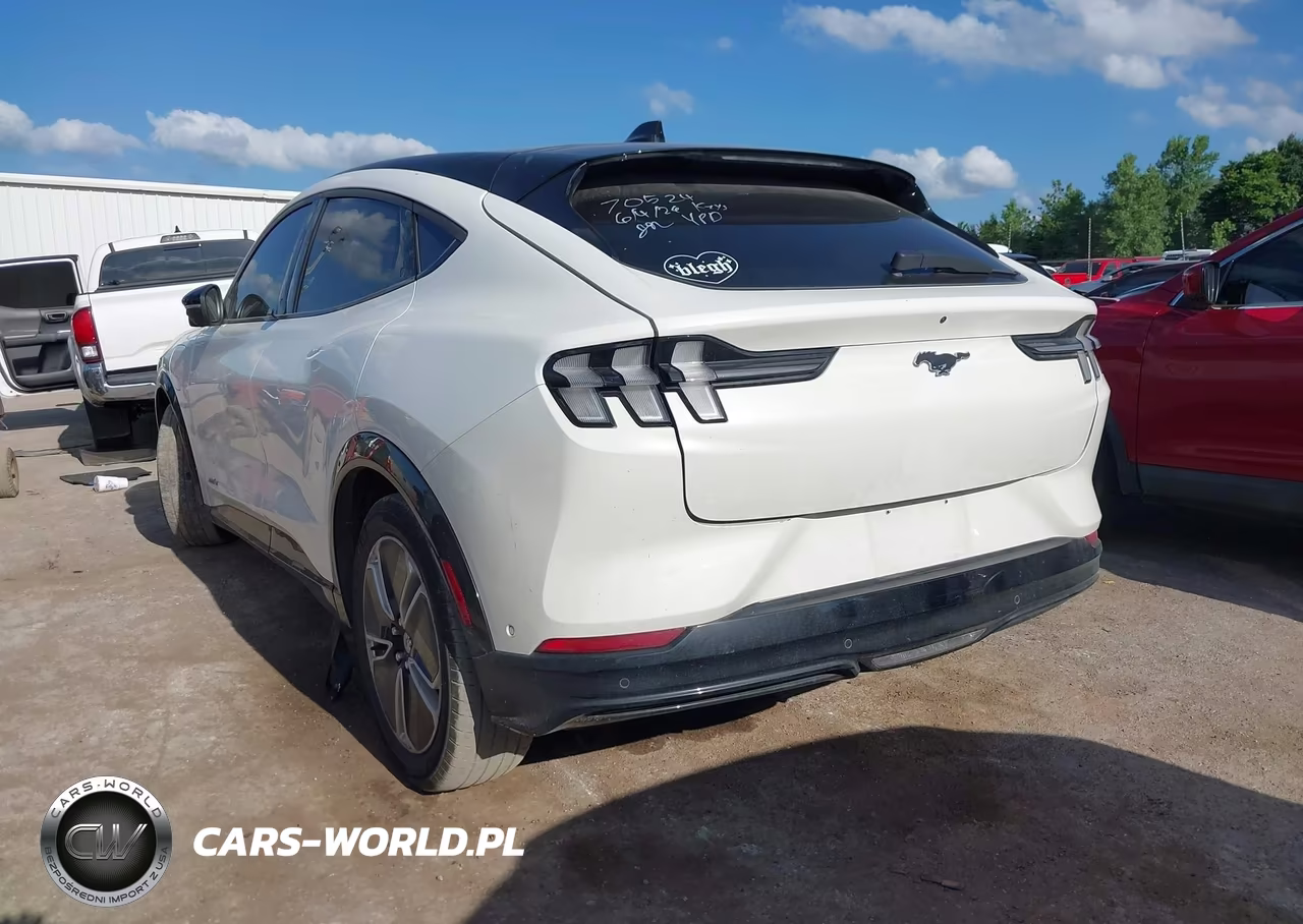2023 Ford Mustang Mach-E Premium VIN:3FMTK3R41PMB00867 - 3
