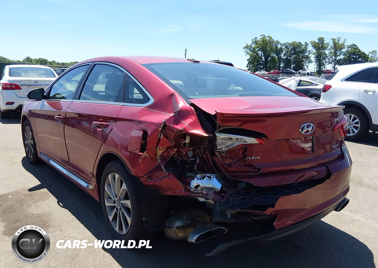 2016 Hyundai Sonata Sport VIN:5NPE34AF4GH423006 - 6