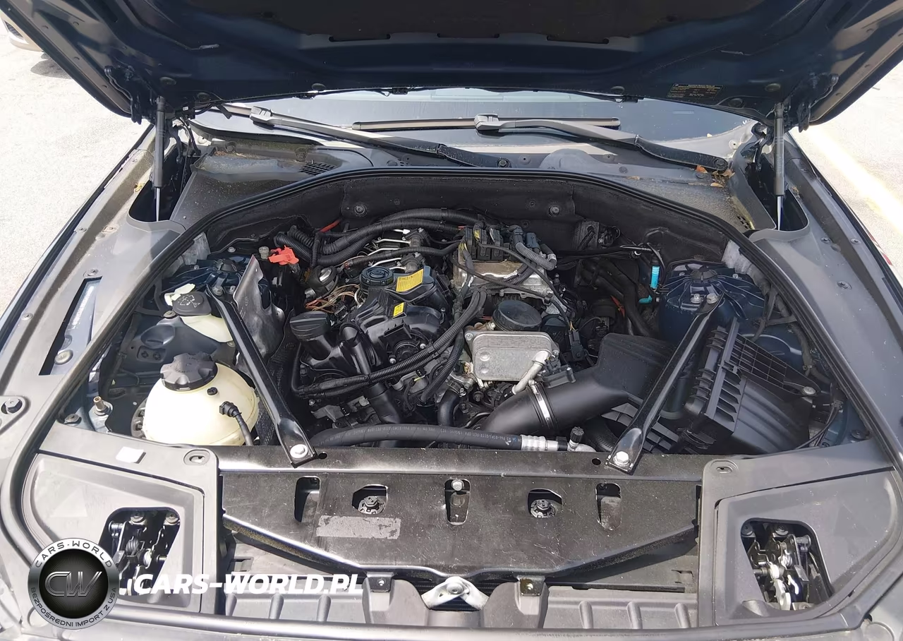 2015 BMW 528I VIN:WBA5A5C56FD523402 - 10
