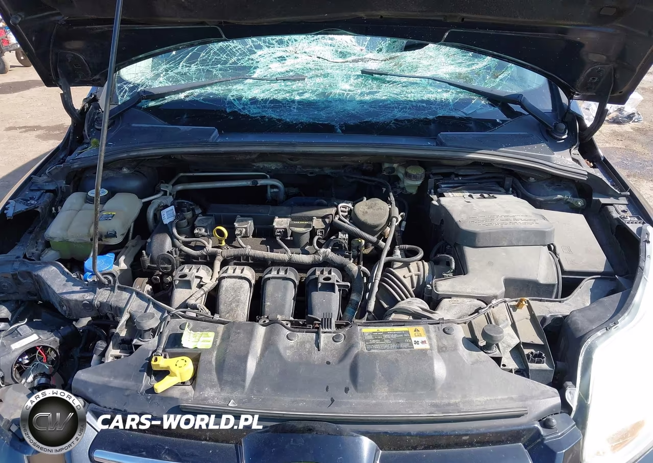 2012 Ford Focus Sel VIN:1FAHP3M27CL404272 - 10