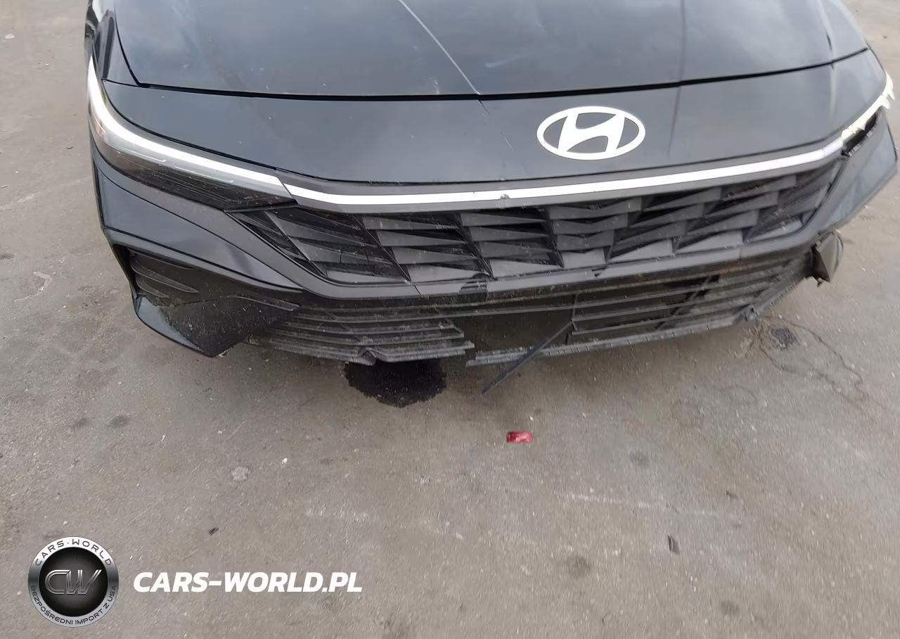 2025 Hyundai Elantra Se VIN:KMHLL4DGXSU930644 - 17