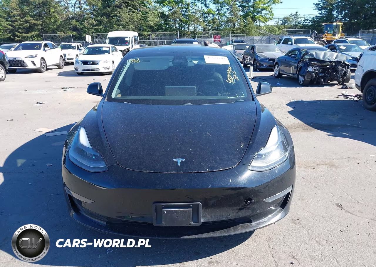 2021 Tesla Model 3 Standard Range Plus Rear-Wheel Drive VIN:5YJ3E1EA4MF982015 - 12