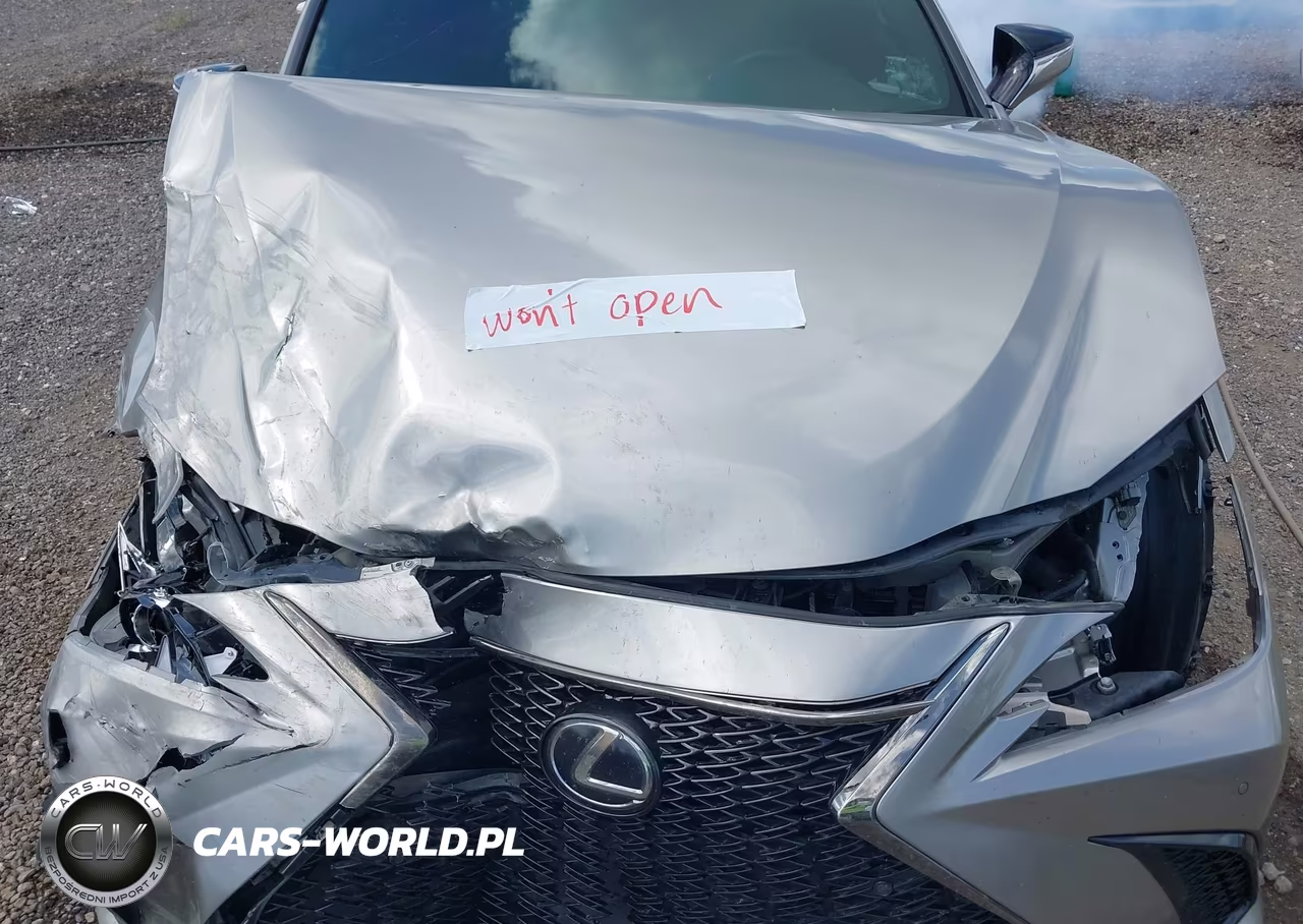 2019 Lexus Es 350 F Sport VIN:58ABZ1B17KU048900 - 10