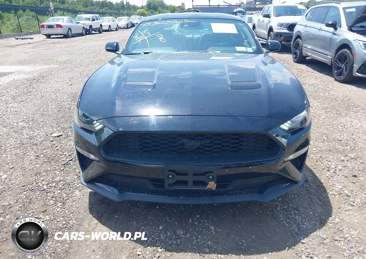 2021 Ford Mustang Ecoboost Premium Fastback VIN:1FA6P8TH1M5134245 - 12