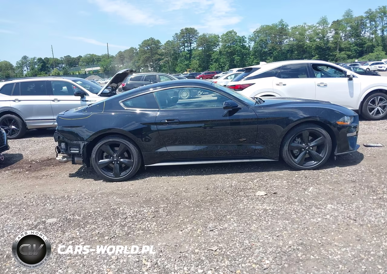 2021 Ford Mustang Ecoboost Premium Fastback VIN:1FA6P8TH1M5134245 - 13