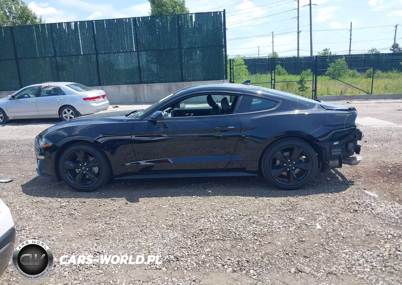2021 Ford Mustang Ecoboost Premium Fastback VIN:1FA6P8TH1M5134245 - 14
