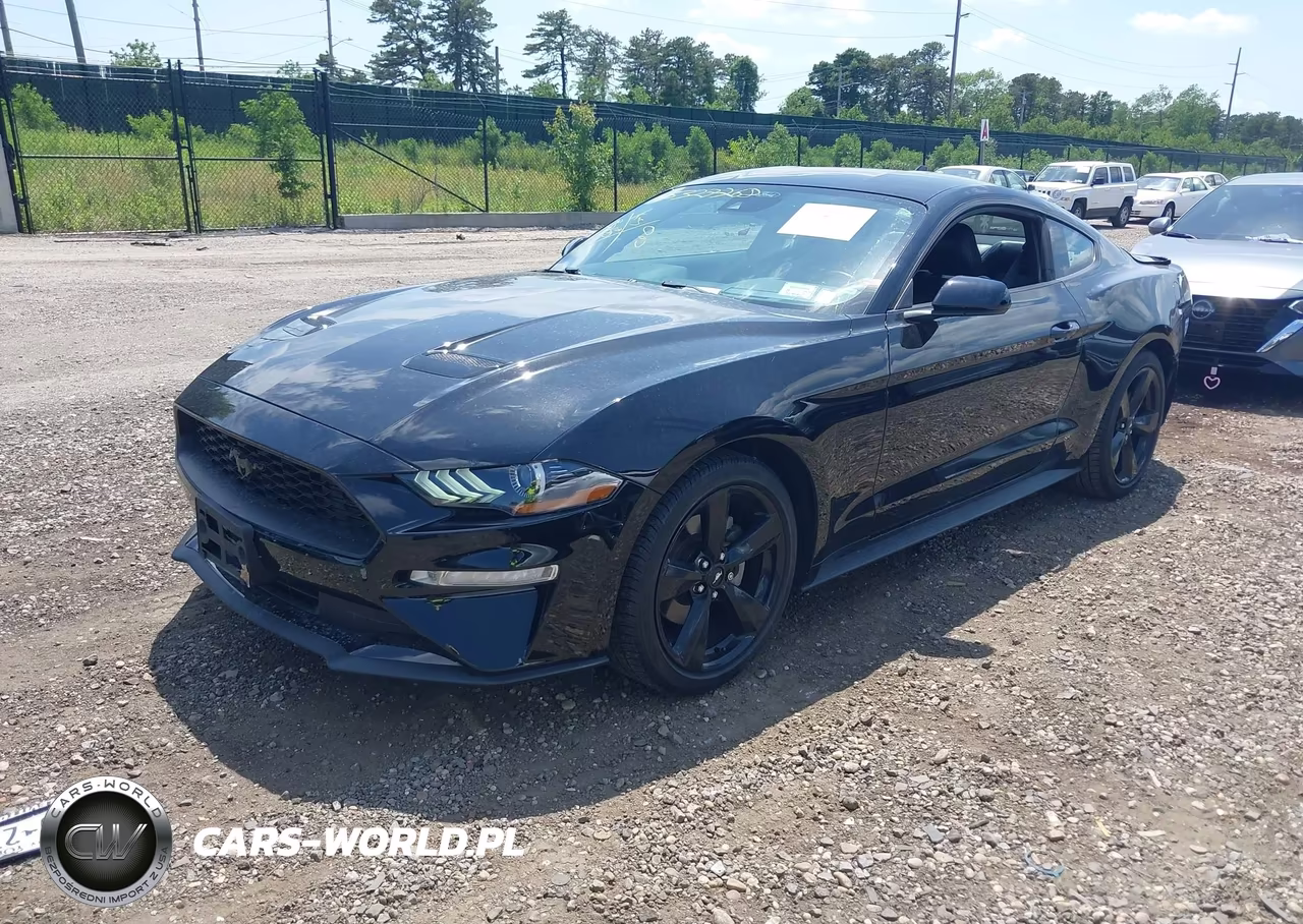 2021 Ford Mustang Ecoboost Premium Fastback VIN:1FA6P8TH1M5134245 - 2