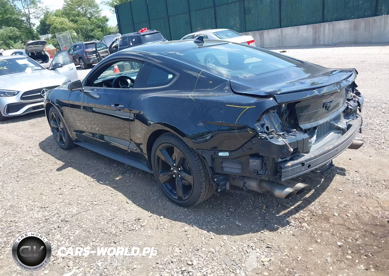 2021 Ford Mustang Ecoboost Premium Fastback VIN:1FA6P8TH1M5134245 - 3