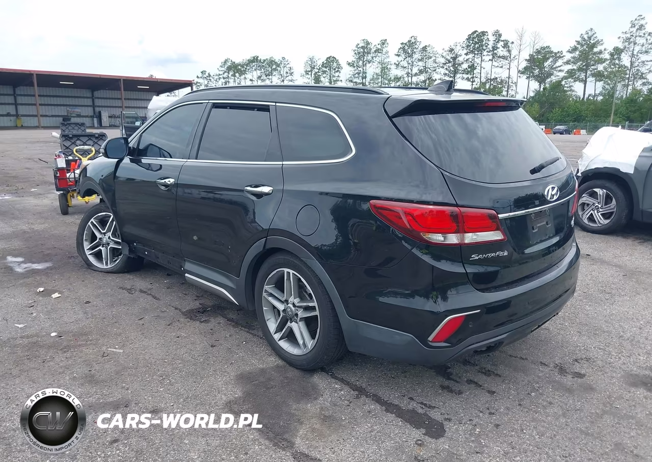 2017 Hyundai Santa Fe Limited Ultimate VIN:KM8SR4HF0HU256816 - 3