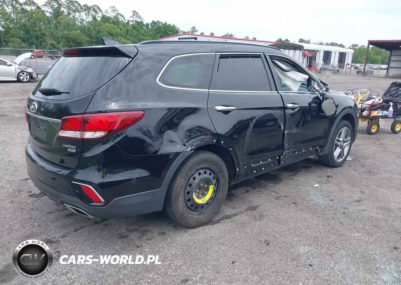 2017 Hyundai Santa Fe Limited Ultimate VIN:KM8SR4HF0HU256816 - 4