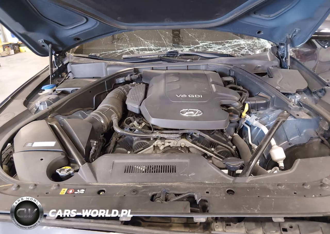 2015 Hyundai Genesis 3.8 VIN:KMHGN4JE2FU063731 - 10