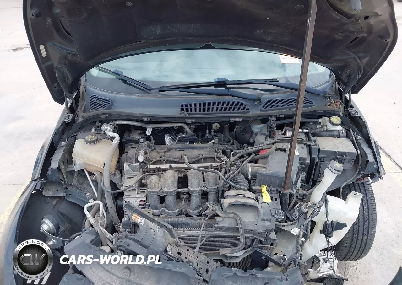 2014 Ford Fiesta Se VIN:3FADP4BJ0EM220453 - 10