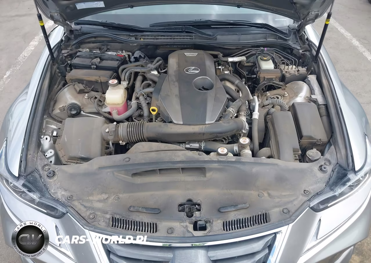 2019 Lexus Is VIN:JTHBA1D22K5094944 - 10