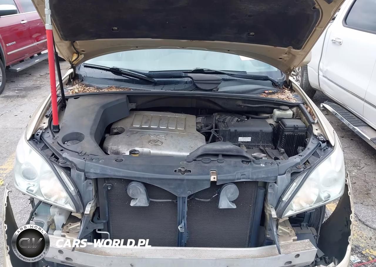 2009 Lexus Rx 350 VIN:2T2GK31U89C062191 - 10