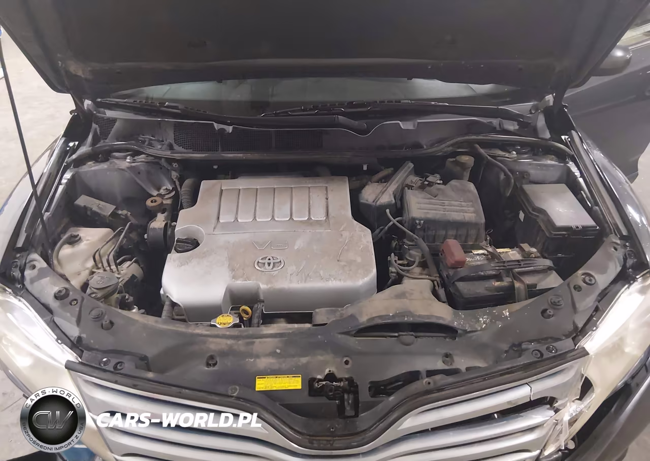 2010 Toyota Venza Base V6 VIN:4T3BK3BB3AU040248 - 10