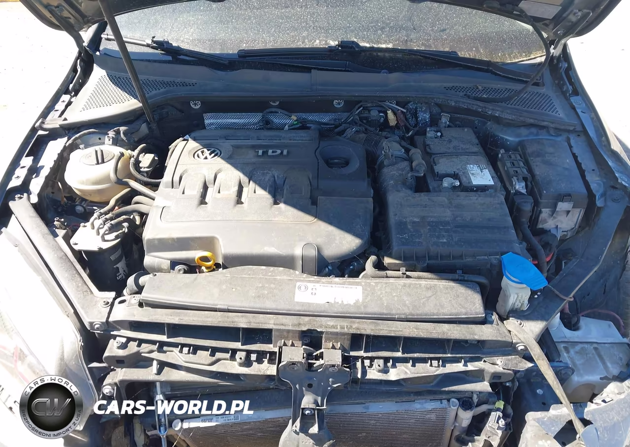 2015 Volkswagen Golf Sportwagen Tdi Se 4-Door VIN:3VWCA7AU6FM513602 - 10