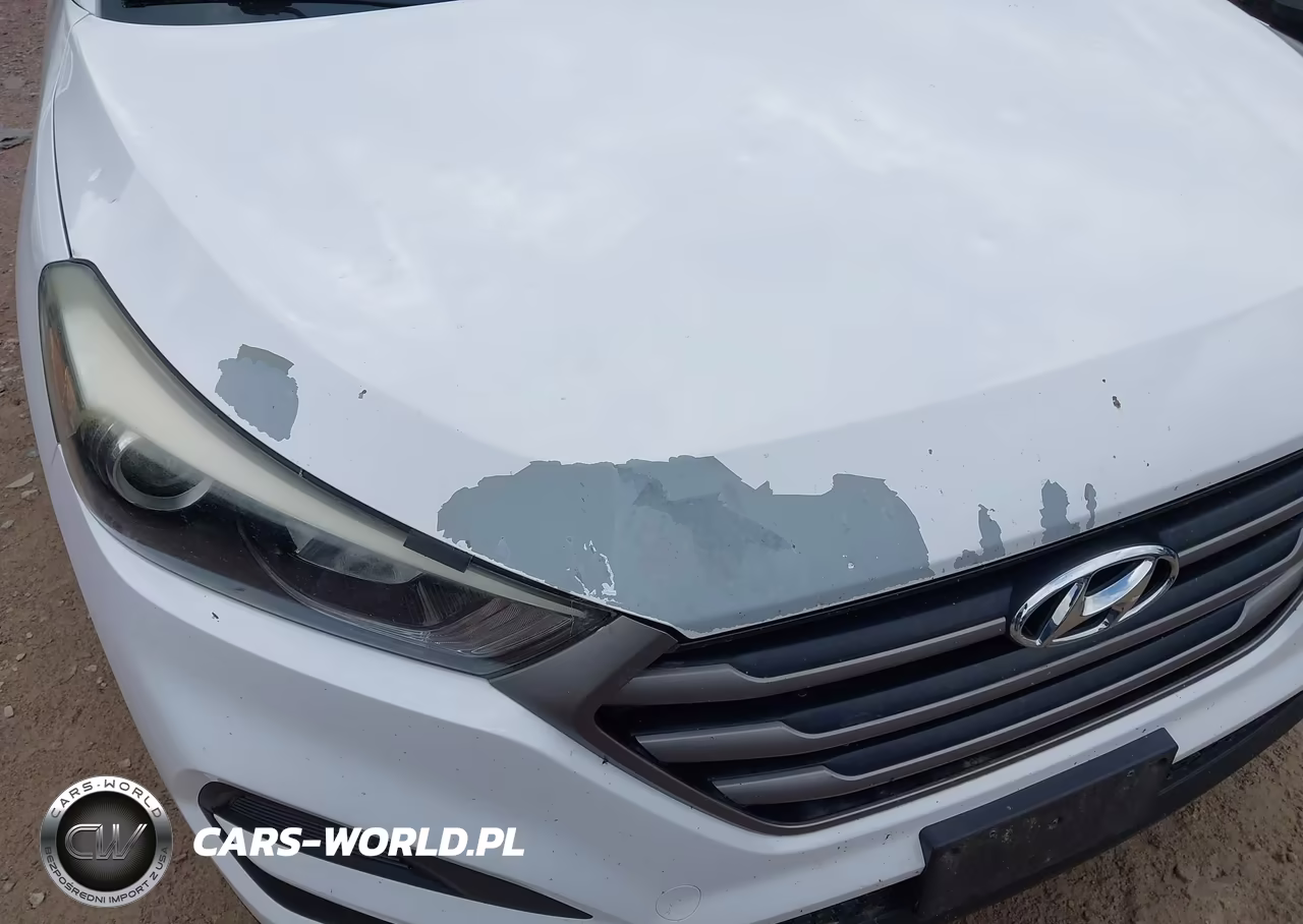 2016 Hyundai Tucson Se VIN:KM8J23A47GU039586 - 12
