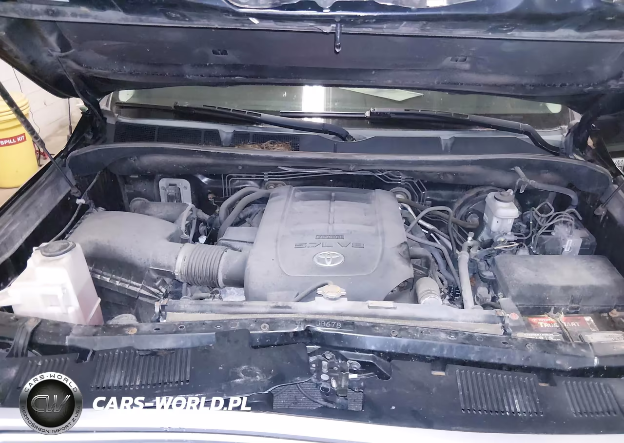 2015 Toyota Tundra Platinum 5.7L V8 VIN:5TFAW5F10FX419370 - 10